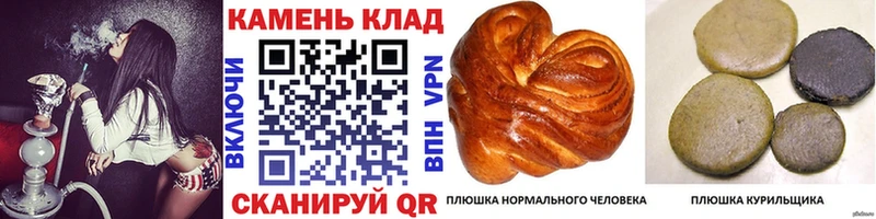 ГАШ Premium цена Красный Сулин