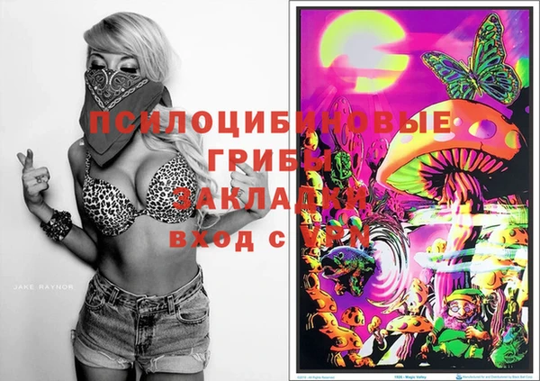 а пвп мука Белокуриха